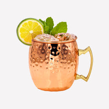Posh Stainless Steel Mule Mugs Barware for Beverages