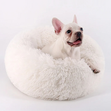 Luxury Doughnut-Style Warm Round Pet Bed for Dogs & Cats