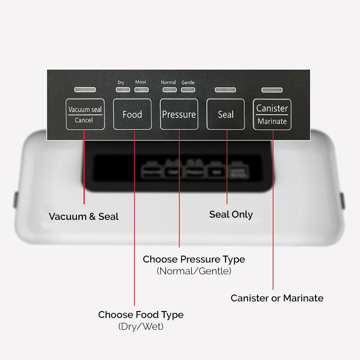 Incredible Vacuum Food Sealer For Freezing & Sous Vide