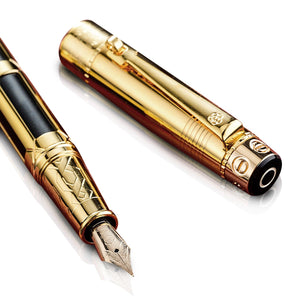 Superior High-Quality Fountain Pen | 10K Gold Fine Writing Instrument | Featuring Fine Bicolour Precision Nib | Perfect for Teens Adults Seniors Professionals & Academics | Ideal For College University Home School Business Drawing & Graphics Design.