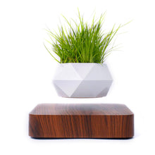 Levitating Bonsai Pot | Magnetic Rotating Geometric Flower Vase Container | Home Decor Suspended In Mid-Air | Unisex Male Female Item | Perfect for Teens Adults & Seniors | Suitable for Living Room Office Bedroom & Dorm.