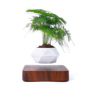Levitating Bonsai Pot | Magnetic Rotating Geometric Flower Vase Container | Home Decor Suspended In Mid-Air | Unisex Male Female Item | Perfect for Teens Adults & Seniors | Suitable for Living Room Office Bedroom & Dorm.